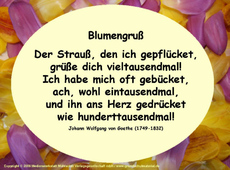 Blumengruss-Goethe.jpg